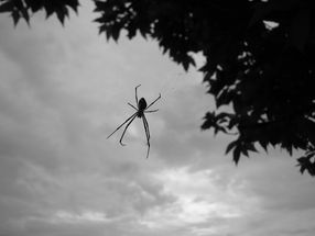 住まいを建設中？