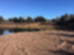 The Training Pond