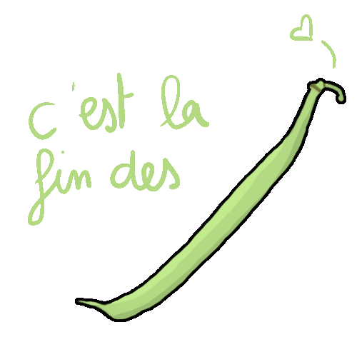 haricot-vert