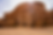 AlUla Design by Royal Commission of AlUla