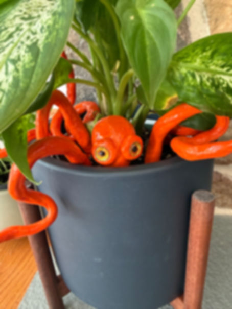 Puss in Roots