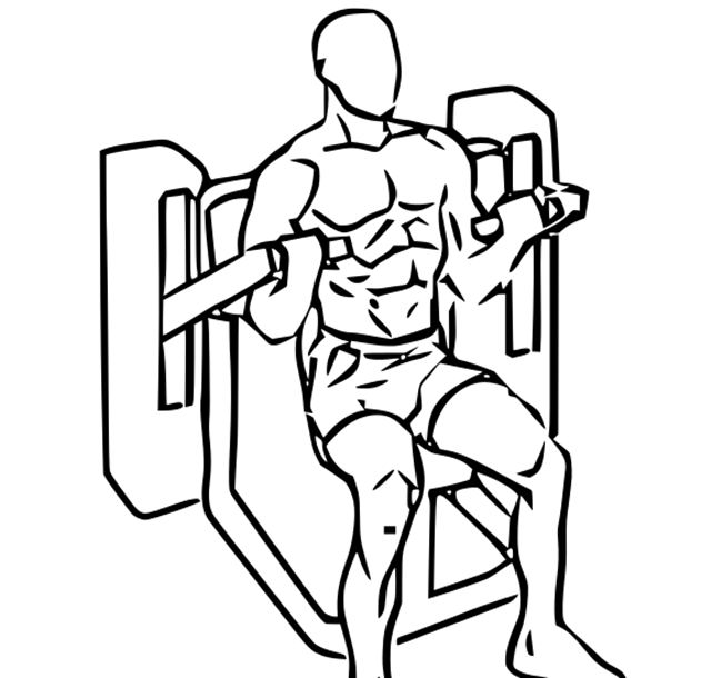 マシンカールの種類とやり方 フォームのポイントをアスリートが解説