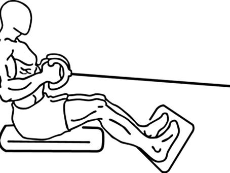 ケーブルローイングの種類とやり方|フォームのポイントをアスリートが解説