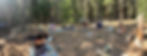 6D816ED3-DE4B-4493-8362-1BD1A0F689F9_1_102_a.jpeg