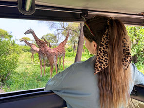 10 jours de road trip en Tanzanie