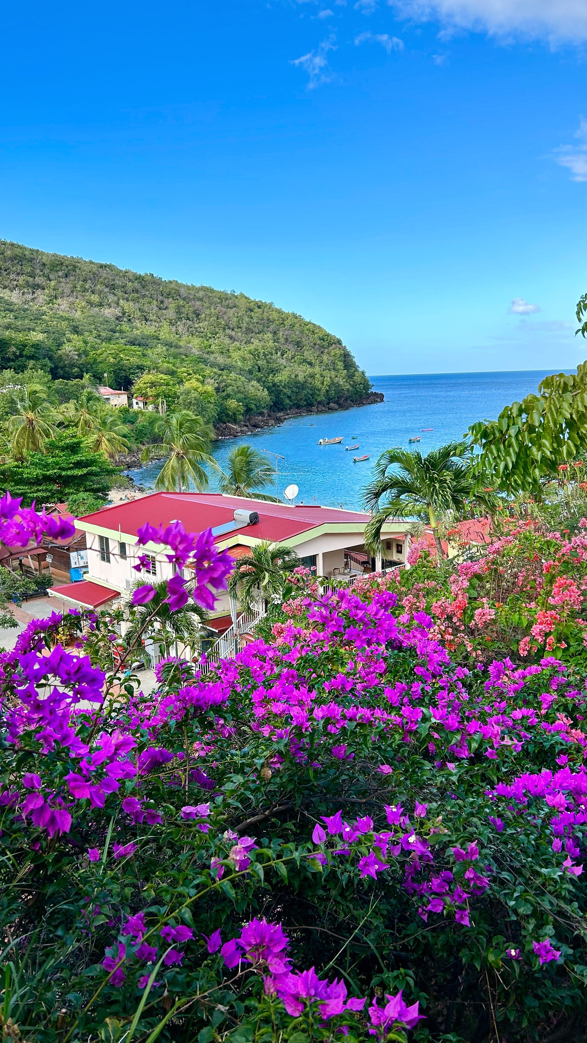 Les incontournables à visiter en Martinique - Anse Dufour