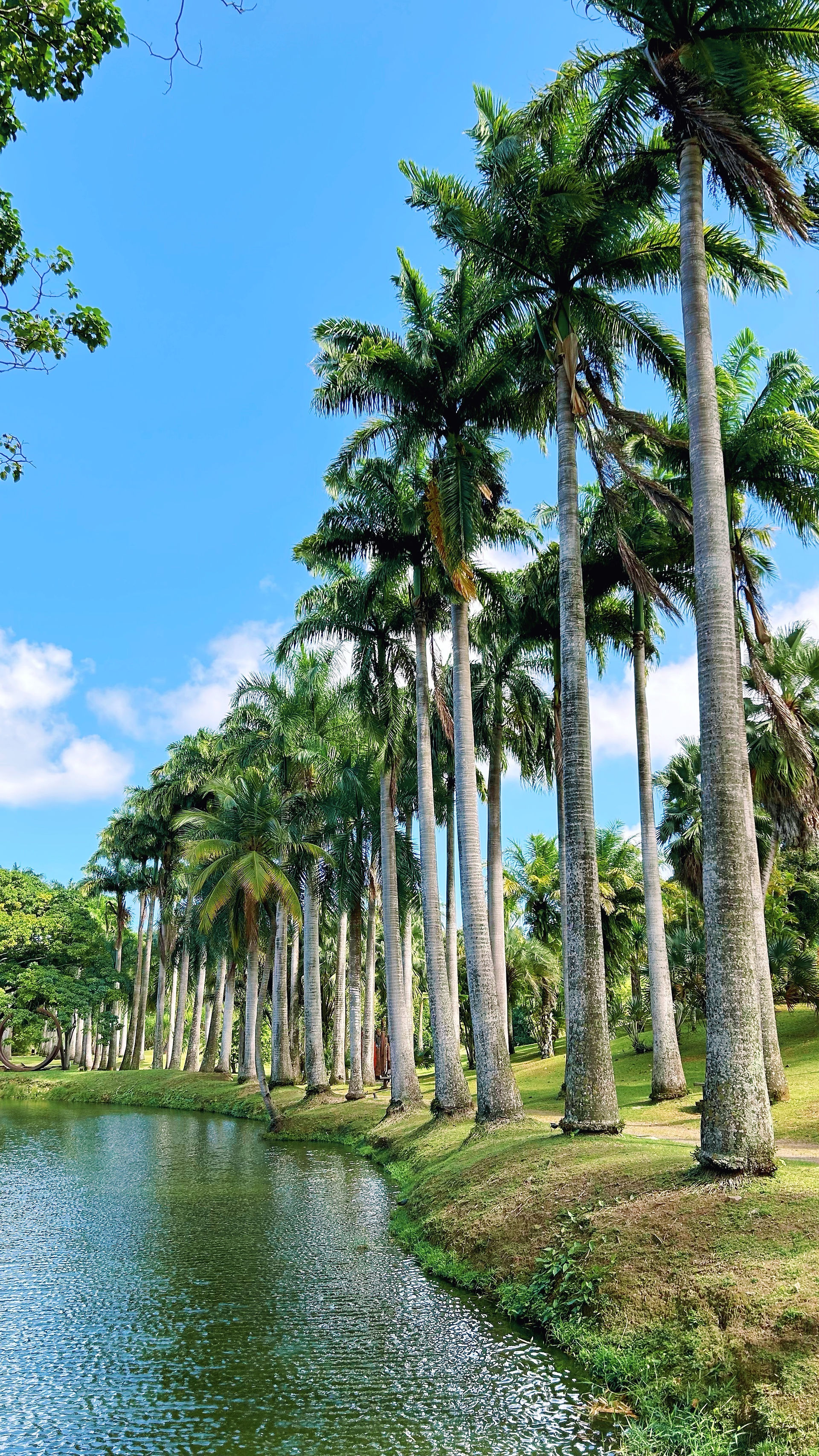 Les incontournables à visiter en Martinique - Habitation Clément