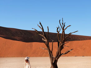 Itinéraire road trip Namibie