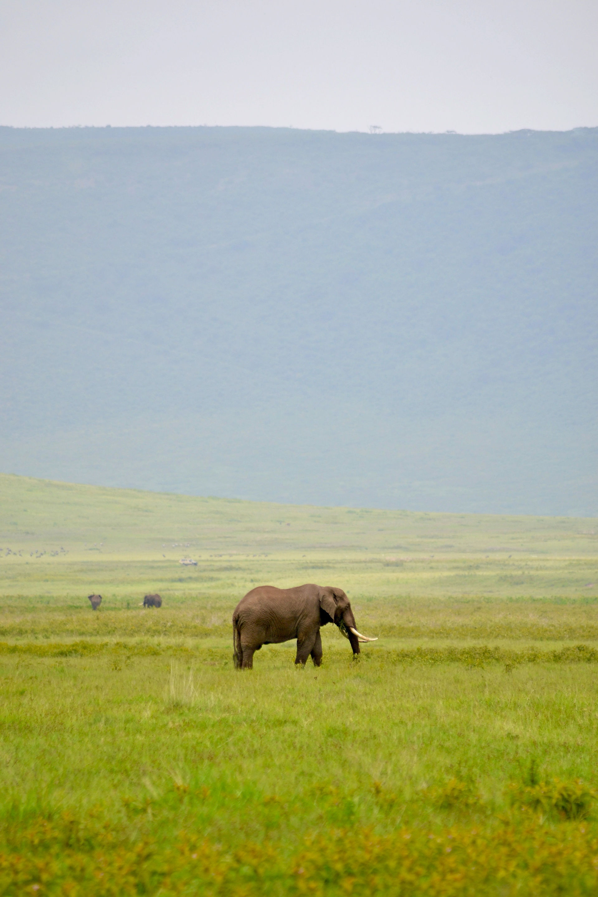Comment aller dans le cratère du Ngorongoro ?