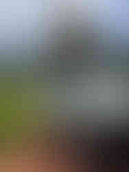 Road trip en Tanzanie