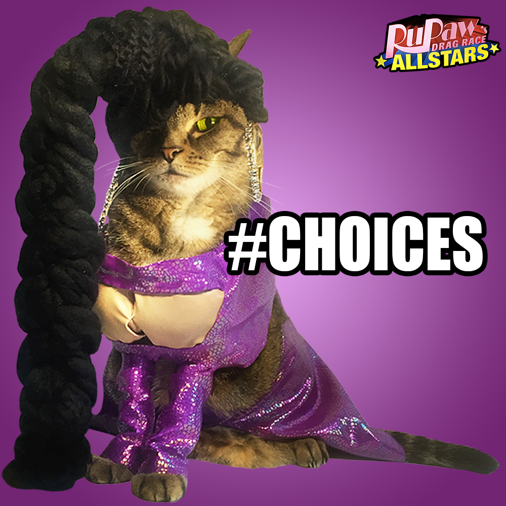 Ru Paws Drag Race