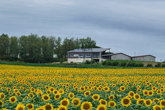 MIELLERIE PAGE ACCUEIL.png