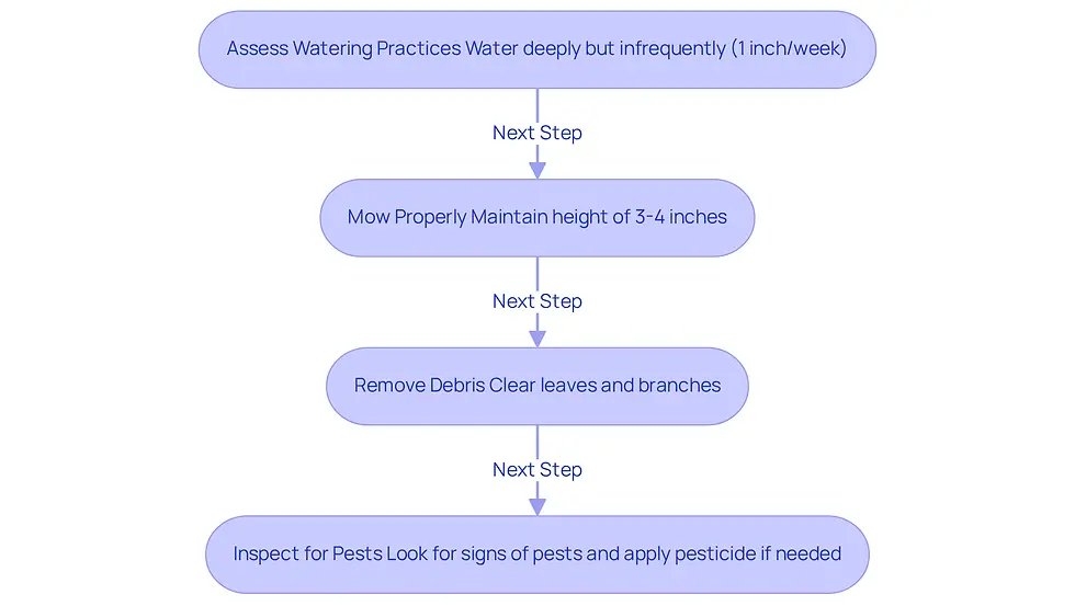Follow the arrows to see the steps you need to take to fix brown patches in your lawn. Each box gives you a specific action to help restore your lawn's health.