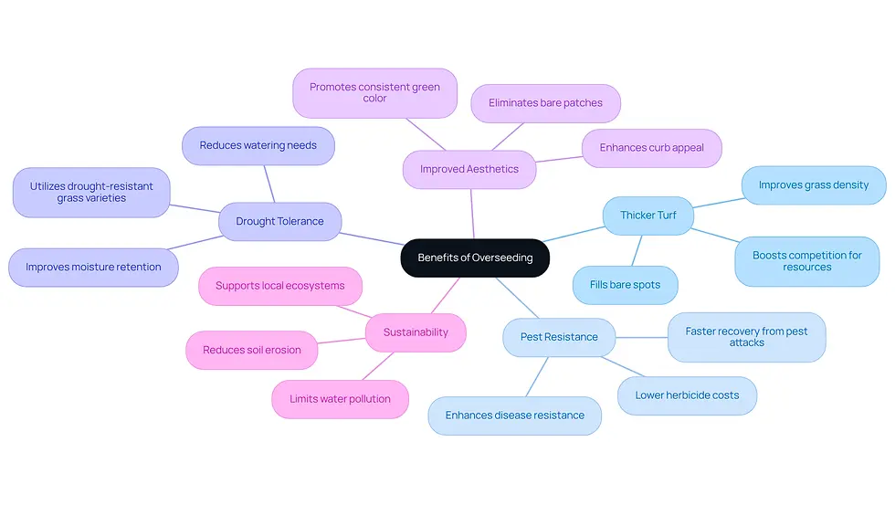 This mindmap shows the various advantages of overseeding your lawn. Start at the center with the main idea, then follow the branches to discover how overseeding can help with pest control, drought resistance, and more. Each branch represents a key benefit, and the sub-branches provide additional details.