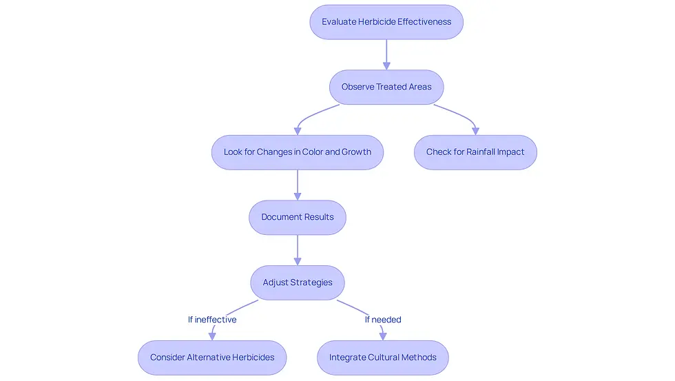 This flowchart guides you through the steps to assess how well your weed killer is working. Start at the top and follow the arrows to see what to do next, from observing your lawn to documenting results and adjusting your approach.