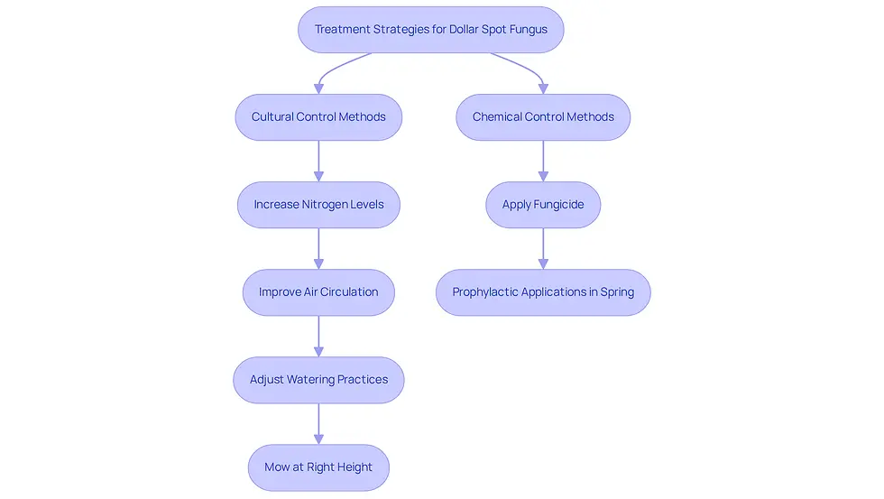 This flowchart guides you through the steps to tackle dollar spot fungus in your lawn. Start with cultural methods to improve grass health, and if needed, move on to chemical treatments. Each box represents a specific action you can take to restore your lawn's beauty.