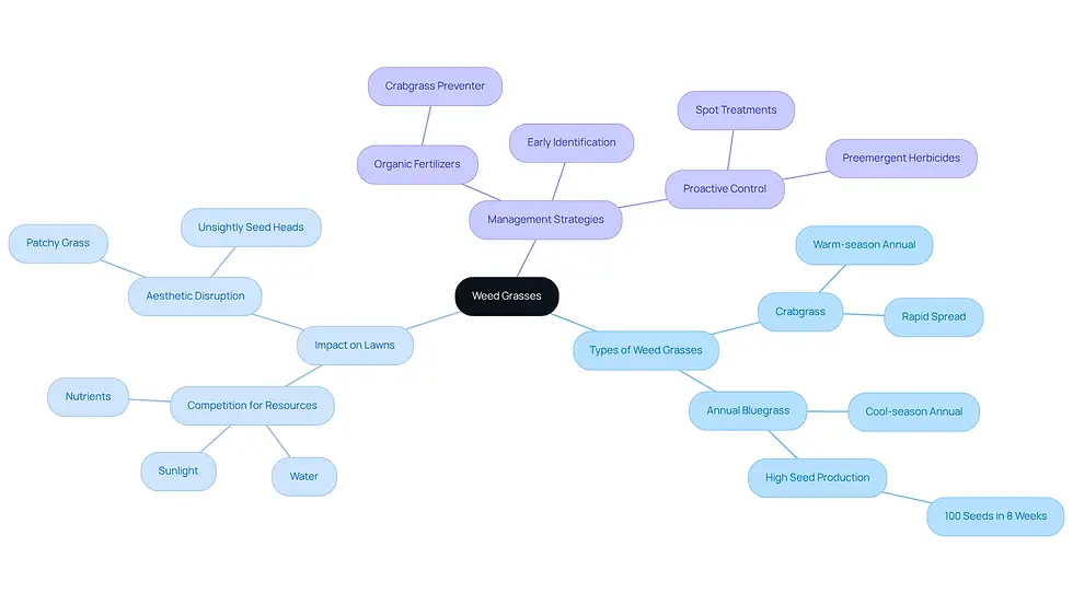 The central node represents the main topic of weed grasses. Each branch shows different aspects: types of weeds, their effects on lawns, and how to manage them effectively. Follow the branches to explore each area in detail.