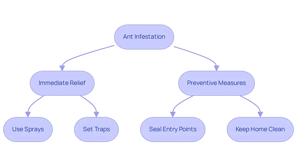 This flowchart guides you through managing an ant problem. Start with the infestation and follow the arrows to see what actions to take for immediate relief and how to prevent future issues.