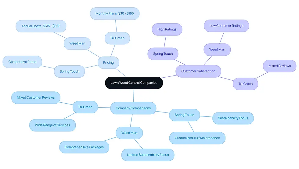 The central node represents the overall topic, while branches show different aspects of the comparison. Each company is detailed under its respective category, helping you understand their strengths and weaknesses at a glance.