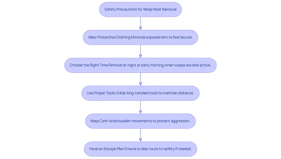 This flowchart guides you through the essential steps to safely remove a wasp nest. Each box represents a precaution you should take, helping you understand why each step is important for your safety.