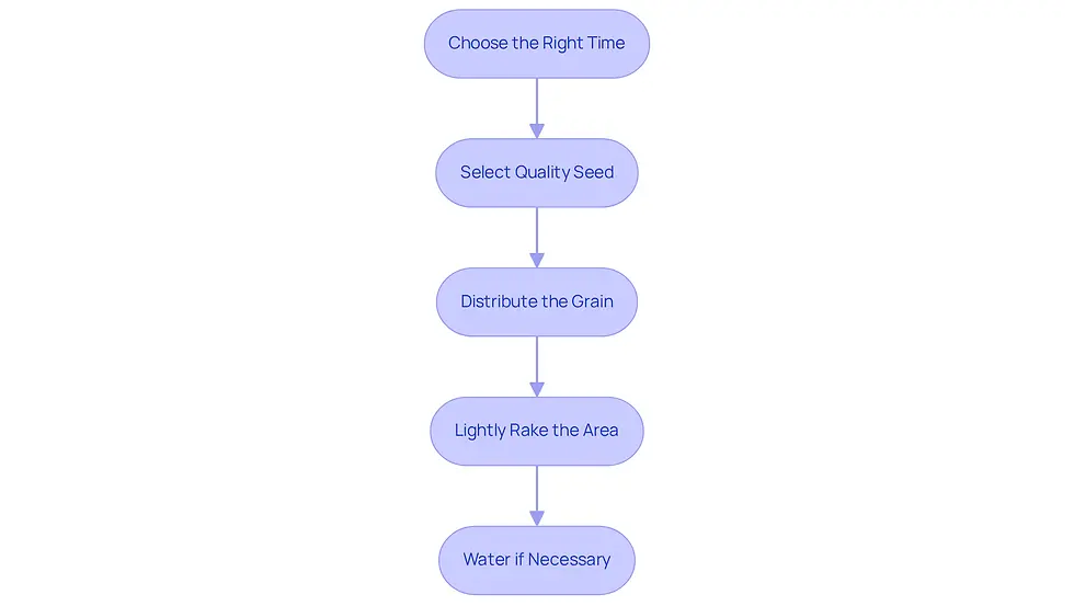 Each box represents a step in the seeding process. Follow the arrows to see how to move from one step to the next, ensuring you don't miss any important actions for a successful lawn.