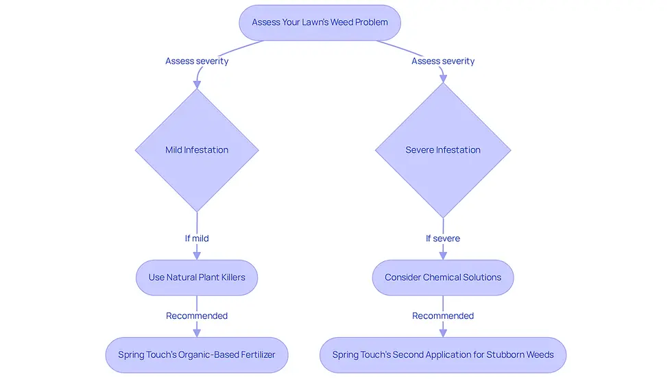 Follow the arrows to determine the best weed killer for your lawn based on the severity of your weed problem. Each path leads to a recommended solution tailored to your needs.