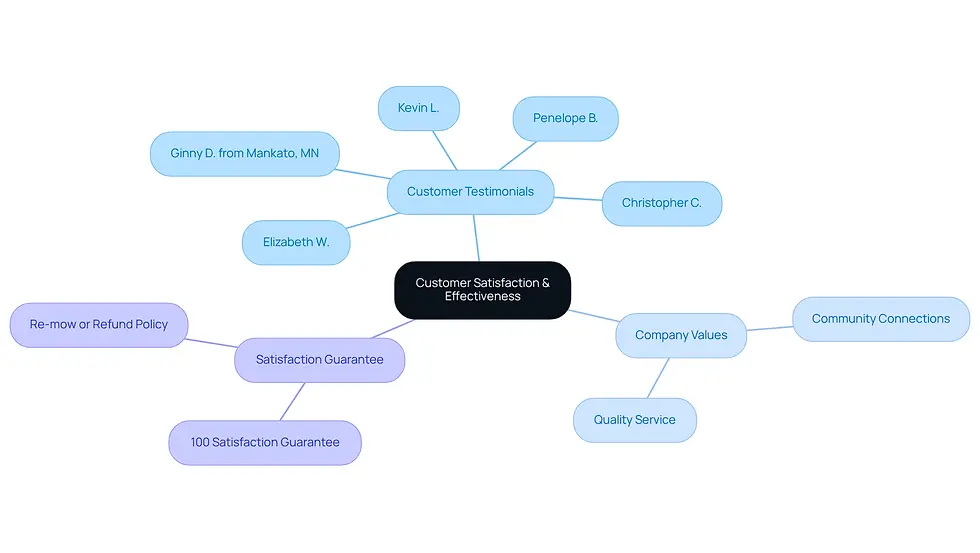 This mindmap shows how customer satisfaction is connected to various aspects of Spring Touch Lawn & Pest Control. Each branch represents a different area of focus, from individual customer experiences to the company's core values, helping you see the bigger picture of what makes this service effective.