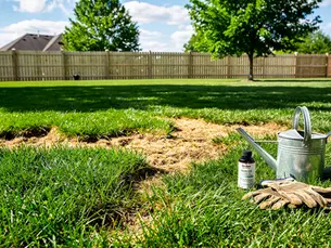 4 Best Practices for Effective Grass Fungus Treatment