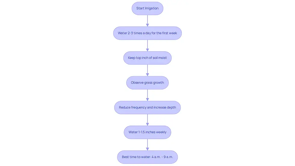 Follow the arrows to see how to water your lawn effectively. Each step shows what to do at different stages of grass growth, ensuring your lawn gets the right care.