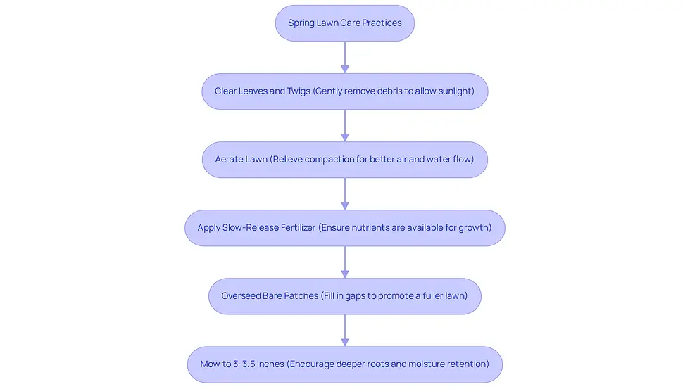 Each box represents a step in the lawn care process. Follow the arrows to see the order of actions needed to rejuvenate your lawn this spring. The flowchart guides you through each essential practice for a healthy, vibrant lawn.