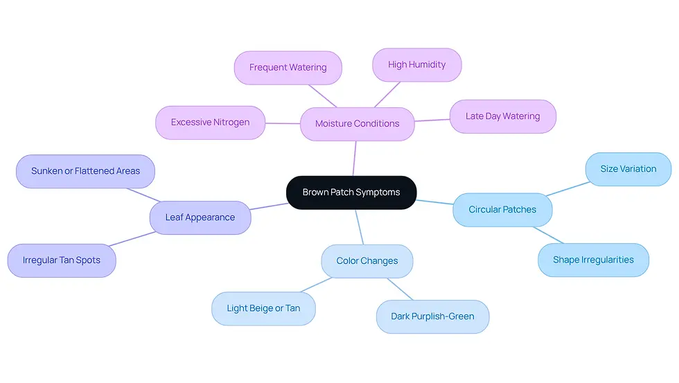 This mindmap starts with the main topic of brown patch symptoms in the center. Each branch represents a different symptom or contributing factor, helping you understand how they relate to the overall issue. Follow the branches to explore each symptom and its details.