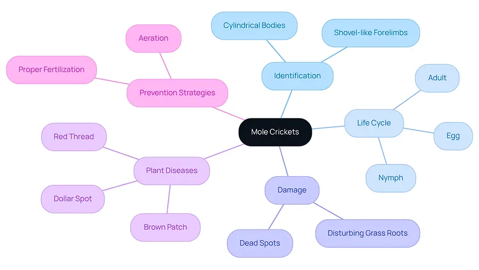 The central node represents mole crickets, and each branch shows different aspects of their behavior and impact. Follow the branches to learn about their characteristics, life cycle, the damage they cause, related diseases, and how to prevent issues in your yard.