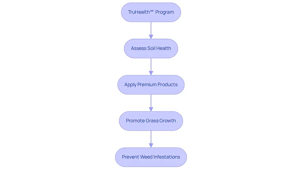 Follow the arrows to see how each step in the TruHealth℠ program works together to create a lush, vibrant lawn. Each box represents an important action you can take to improve your yard.