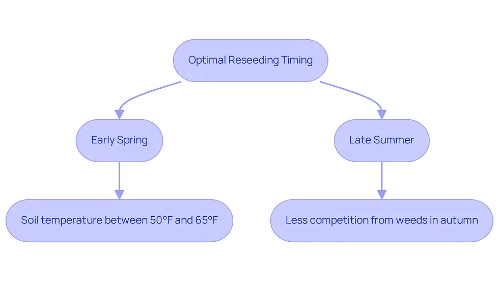 This flowchart helps you understand when to reseed your lawn for the best results. Follow the arrows to see the two ideal times and the conditions that make them perfect for planting grass seeds.