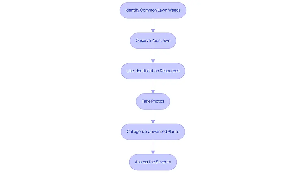 This flowchart guides you through the process of identifying unwanted plants in your lawn. Follow the arrows from one step to the next to effectively manage your lawn and reclaim your green space.