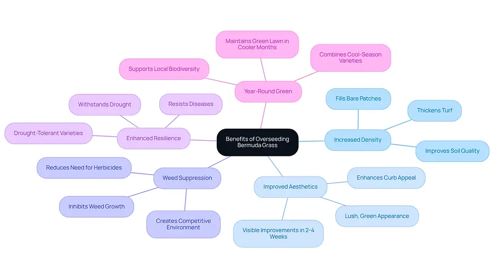 This mindmap shows the key benefits of overseeding Bermuda grass. Each branch represents a different advantage, and you can follow the sub-branches for more details on how overseeding can improve your lawn.