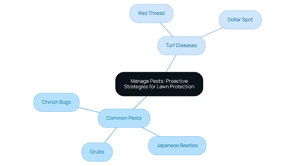 This mindmap shows how to protect your lawn from pests and diseases. Start at the center with the main topic, then follow the branches to see the common pests and diseases that can affect your grass, along with strategies to keep your lawn healthy.