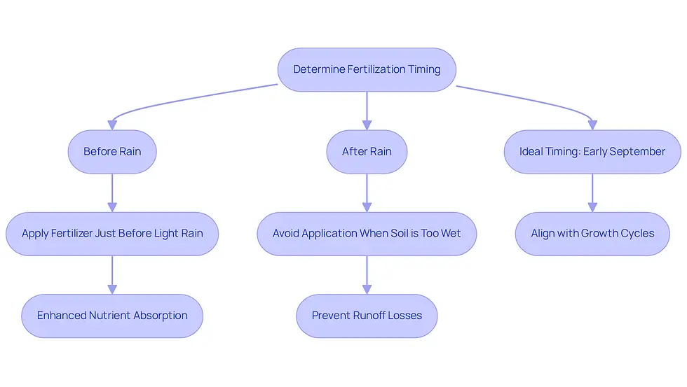 This flowchart guides you through the steps for timing your lawn fertilization. Start at the top and follow the arrows to see the best practices for applying fertilizer before or after rain, ensuring your lawn gets the nutrients it needs without the risk of runoff.