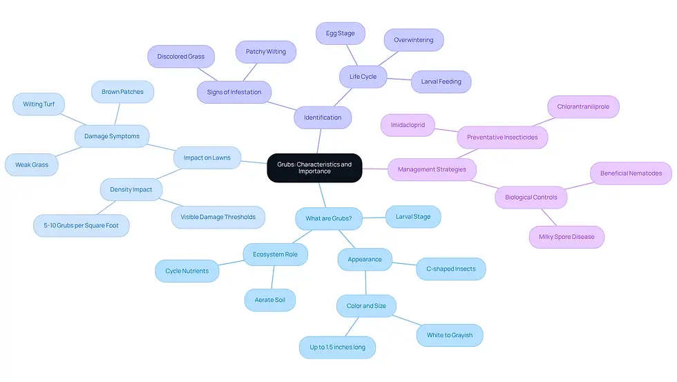 This mindmap starts with the central idea of grubs and branches out into important topics. Each branch represents a key area of understanding, helping you see how grubs affect your lawn and what you can do about them.