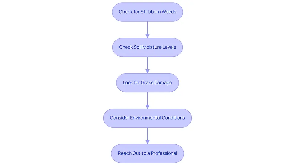 Each box represents a step you can take to troubleshoot issues with your lawn after applying herbicide. Follow the arrows to see what to do next, starting from checking for weeds to seeking professional help if needed.