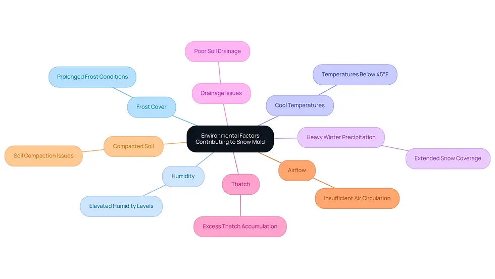 This mindmap starts with the main topic in the center and branches out to show various factors that lead to snow mold. Each branch represents a different environmental condition, and you can follow the lines to see how they connect to the central issue.