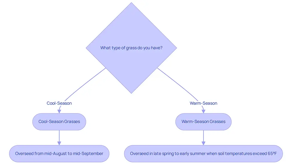 This flowchart helps you decide when to overseed based on your grass type. Follow the arrows to see the best times for cool-season and warm-season grasses, ensuring your lawn gets the best start for healthy growth.