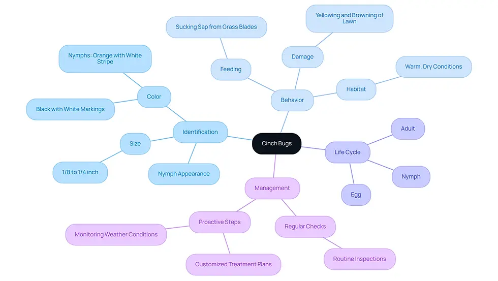 The central node represents cinch bugs, and the branches show different aspects of their identification and behavior. Each branch helps you explore specific details, making it easier to understand how to manage these pests effectively.