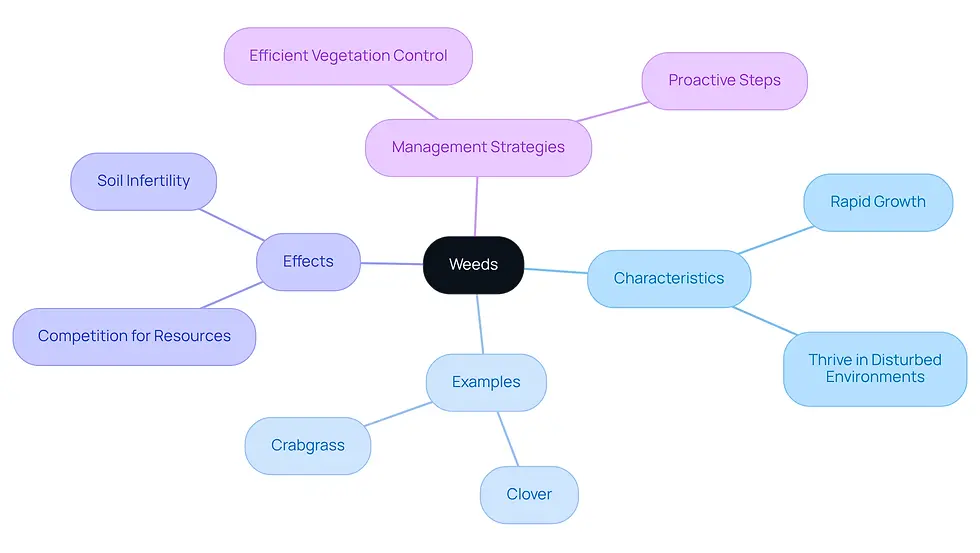 This mindmap starts with the central idea of weeds and branches out to show their characteristics, examples, effects on gardens, and how to manage them. Each branch represents a different aspect, making it easy to see how they relate to the main topic.
