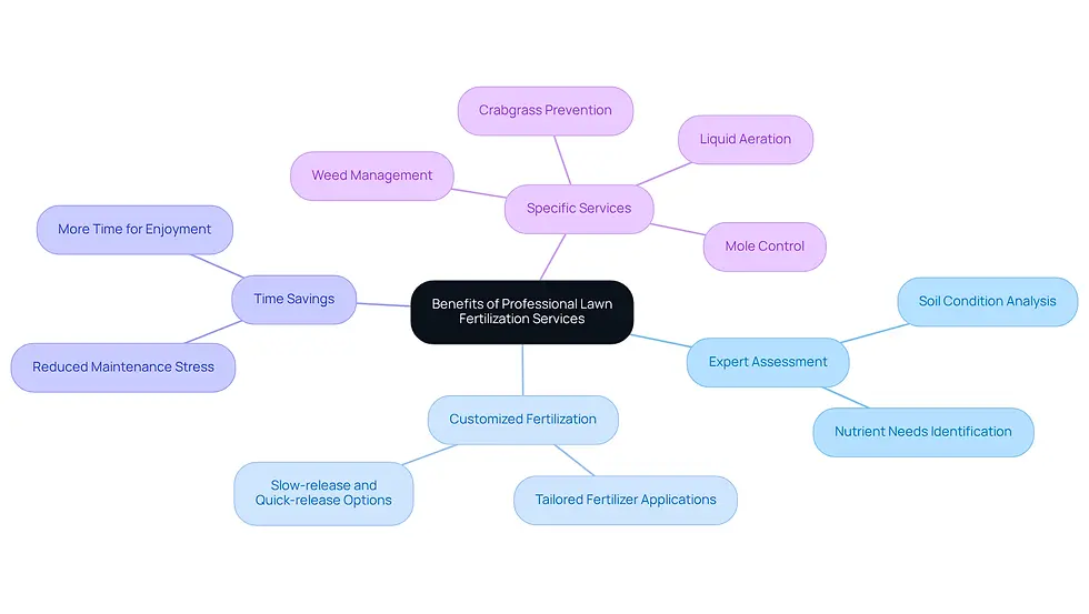 The central node represents the main topic, while the branches show the various benefits and services. Each color-coded branch helps you see how everything connects, making it easier to understand the advantages of hiring professionals for lawn care.