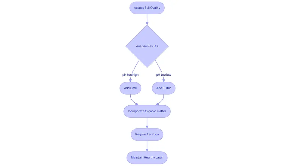 This flowchart guides you through the steps to assess and improve your soil quality. Start with assessing your soil, then follow the arrows to see what actions to take based on the results. Each box represents a key step in ensuring your grass thrives.