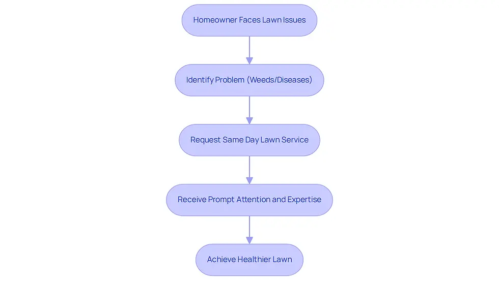 This flowchart shows the steps homeowners can take when facing lawn care frustrations. Start at the top with the issues, follow the arrows to see how to get help, and end with a healthier lawn. Each step is designed to help you understand how to tackle lawn problems effectively.