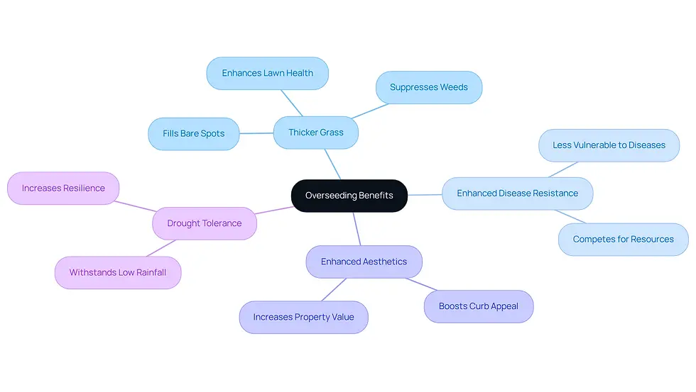 This mindmap starts with overseeding at the center, branching out to show how it helps your lawn in various ways. Each branch represents a key benefit, and the sub-branches provide more details about why those benefits matter.
