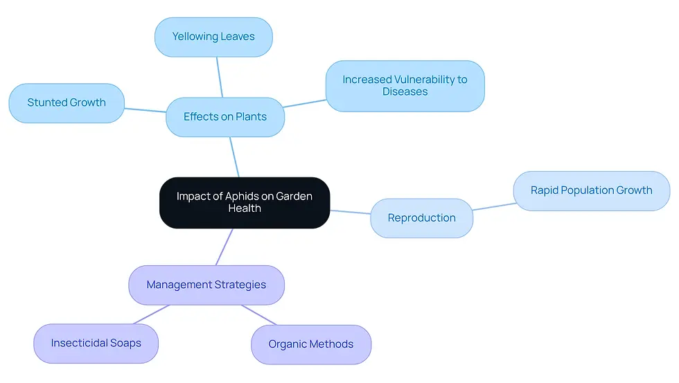 The central node represents the main topic of aphids. Each branch shows a different aspect of how aphids affect garden health, making it easy to see the connections and importance of managing these pests.