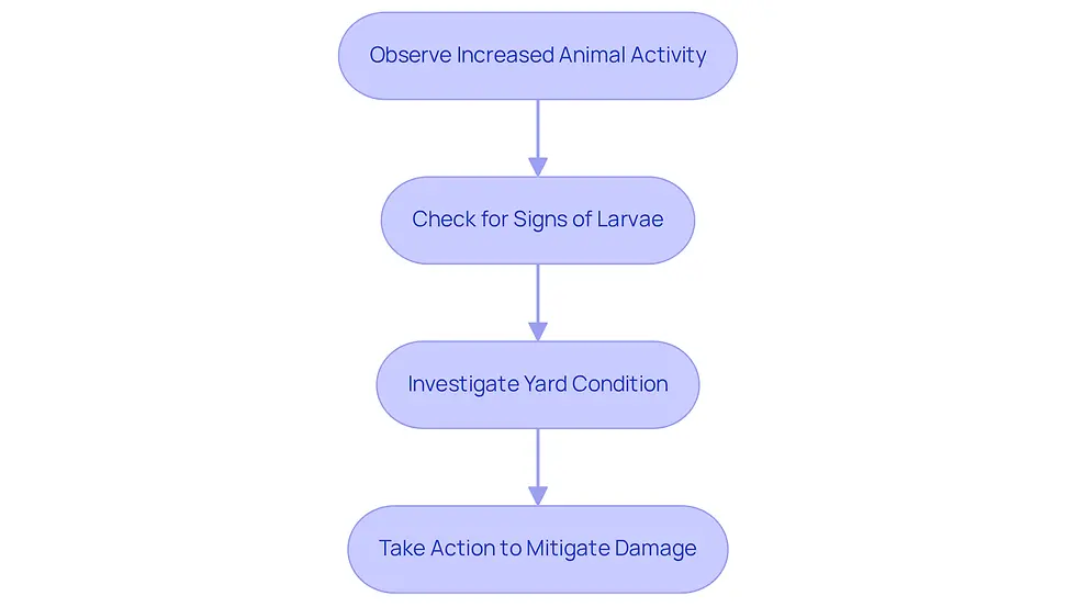 This flowchart guides you through what to do if you notice more animals in your yard. Start by observing the activity, then check for larvae, investigate your yard, and finally take action to keep your lawn healthy.